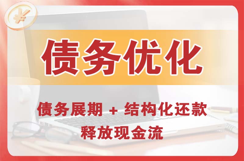伊犁债务优化